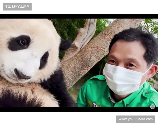 马来西亚球迷机场举中文标语热情欢迎成都蓉城 熊猫元素成为焦点